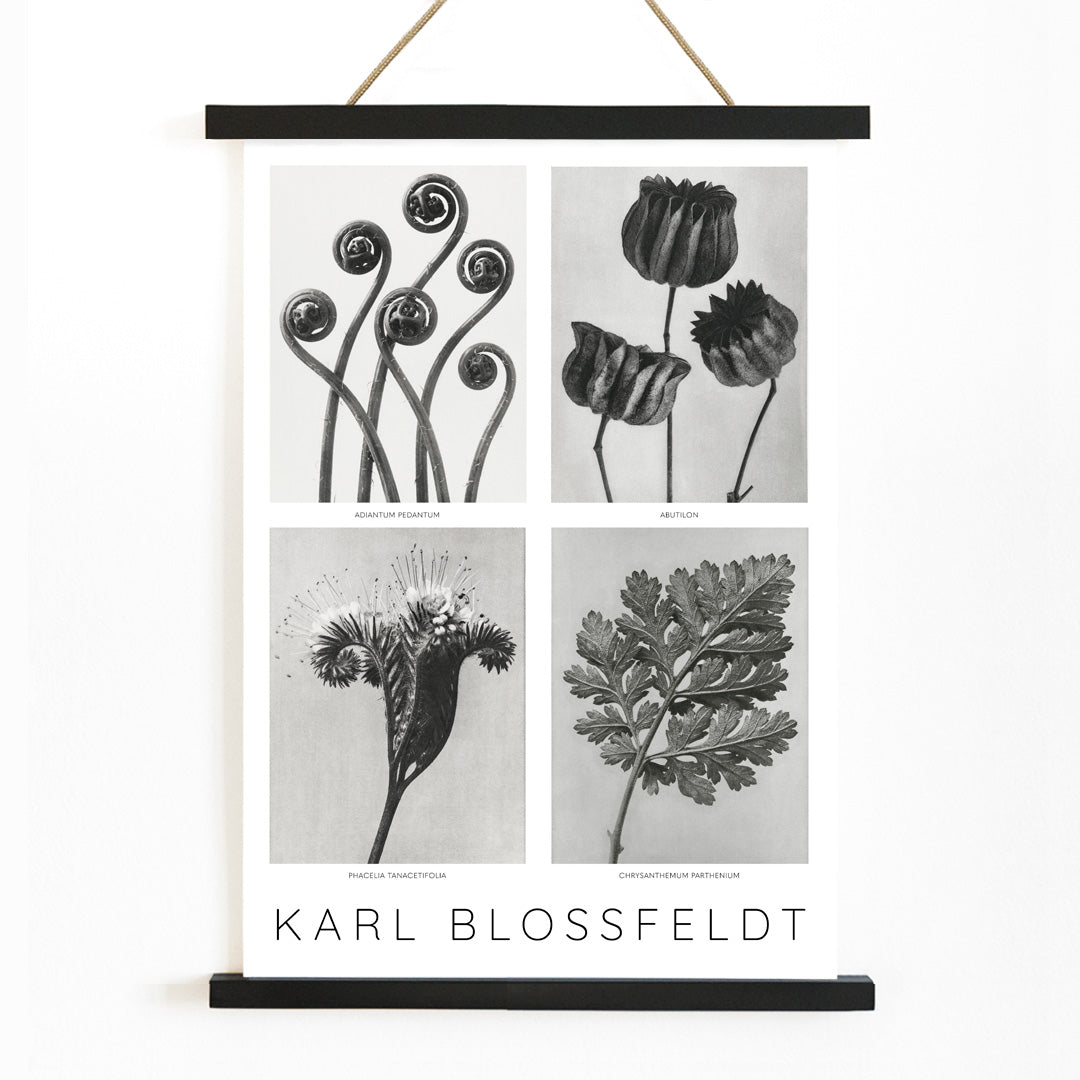 , with wooden magnetic frame on white background