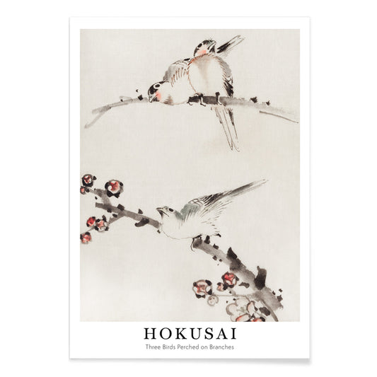 Three birds perched on branches with blossoms watercolor painting and poster artwork by Katsushika Hokusai, with black aluminium frame on white background