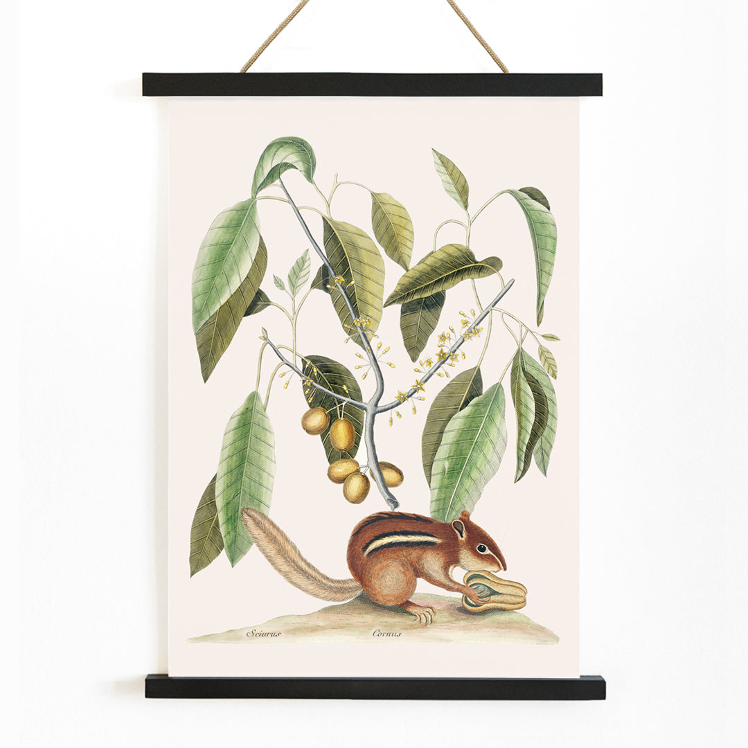 , with wooden magnetic frame on white background