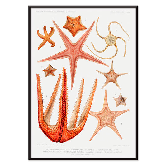 , with black aluminium frame on white background