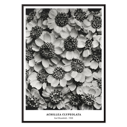 , with black aluminium frame on white background