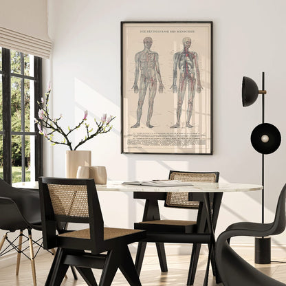 Anatomical illustration and poster of human circulatory system and blood vessels titled Human Blood System by Institute of Liepzig for educational use, framed and displayed in home decor
