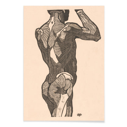 Anatomical illustration of human glute muscles from the back artwork by Reijer Stolk titled Glute Muscles detailed muscle study poster, with black aluminium frame on white background