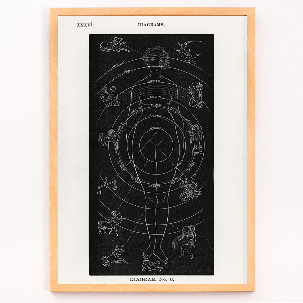 Closeup detail of Astrological human body diagram and poster with zodiac signs planets and symbols by Hiram Erastus Butler from Solar Biology