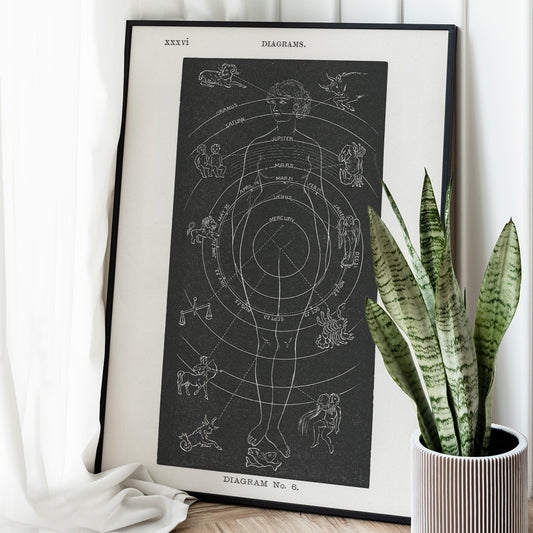 Astrological human body diagram and poster with zodiac signs planets and symbols by Hiram Erastus Butler from Solar Biology, framed and displayed in home decor