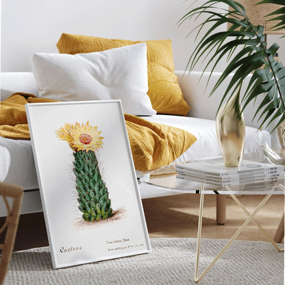 Beehive cactus illustration and poster blooming cactus from Familie Der Cacteen, framed and displayed in home decor