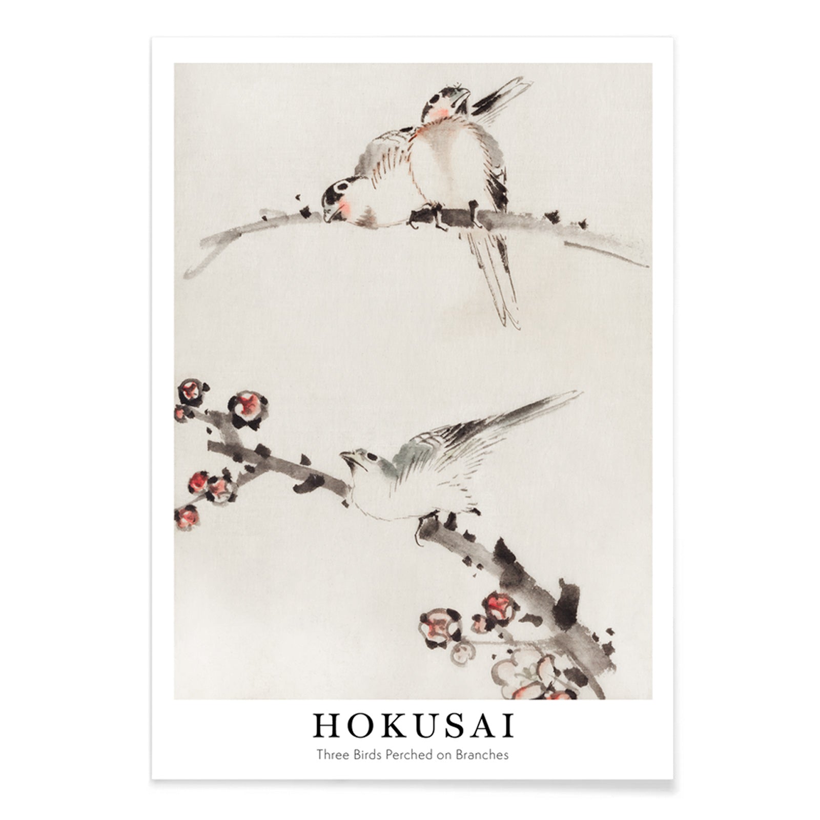 Three birds perched on branches with blossoms watercolor painting and poster artwork by Katsushika Hokusai, with black aluminium frame on white background