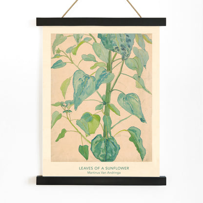 Botanical watercolor illustration of sunflower leaves by Martinus van Andringa detailed artwork poster, with wooden magnetic frame on white background