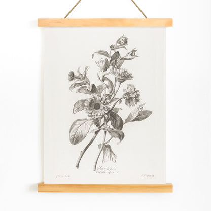 Black and white botanical illustration of marigold flowers by Pierre Francois Legrand titled Black and White Marigold poster, with wooden magnetic frame on white background