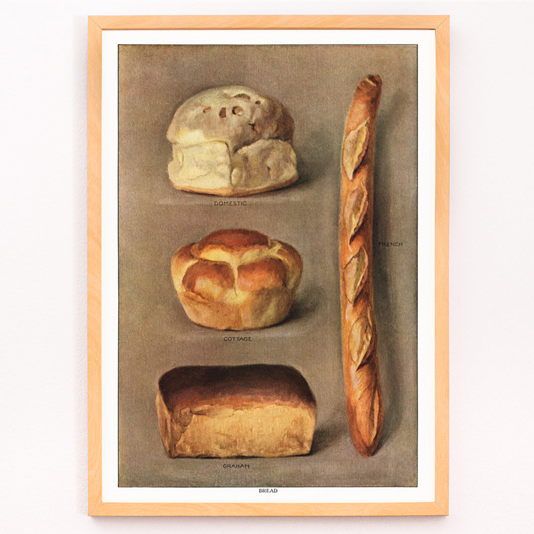 Closeup detail of Assorted bread loaves including domestic cottage French and graham from The Grocers Encyclopedia vintage artwork collection of baked bread types poster