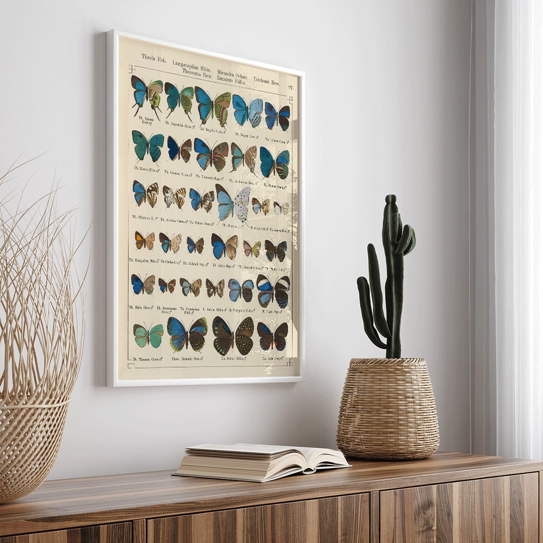Colorful illustration of exotic butterflies in vibrant colors from Exotic butterflies Pl.097 by Otto Staudinger, framed and displayed in home decor