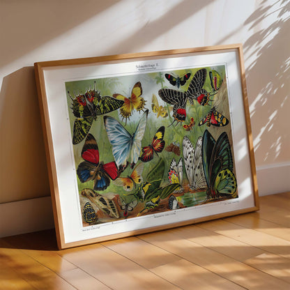 Colorful butterflies illustration by Institut of Leipzig titled Butterflies II poster featuring butterflies in nature ideal for entomology and home decor, framed and displayed in home decor