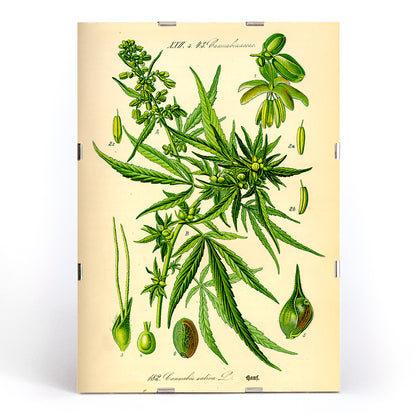 , framed and displayed in modern living room decor