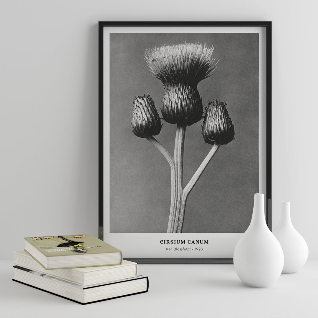 , framed and displayed in home decor