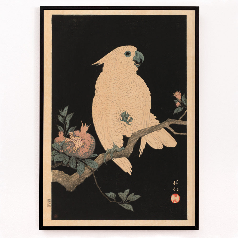 Closeup detail of White cockatoo perched on a branch with pomegranate artwork by Ohara Koson poster