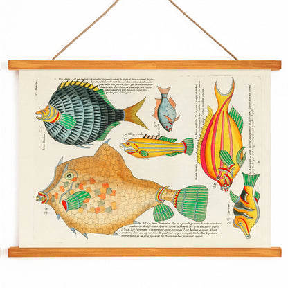 , with wooden magnetic frame on white background