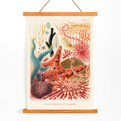 , with wooden magnetic frame on white background