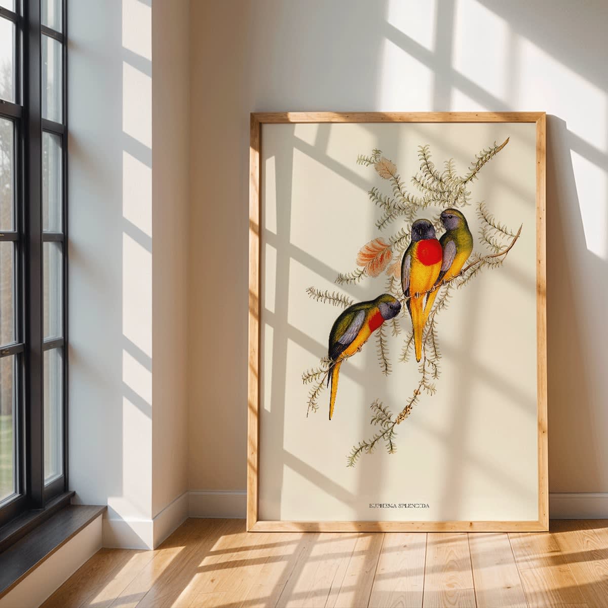 Splendid Grass-Parakeet artwork by Euphema Splendida featuring three vibrant birds perched on colorful foliage, framed and displayed in modern living room decor