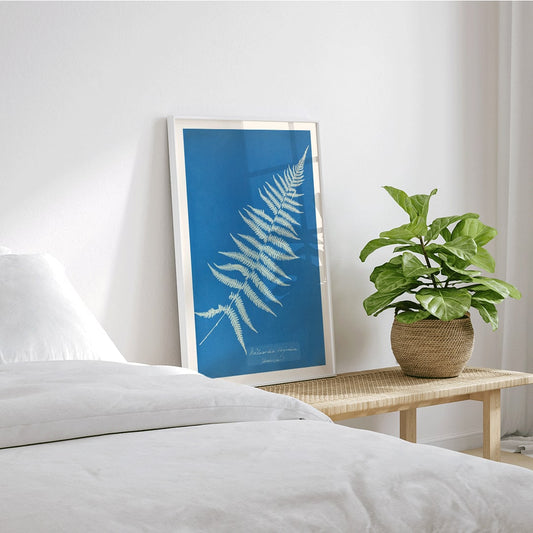 Cyanotype artwork poster of Woodwardia virginica fern by Anna Atkins with blue background, framed and displayed in home decor