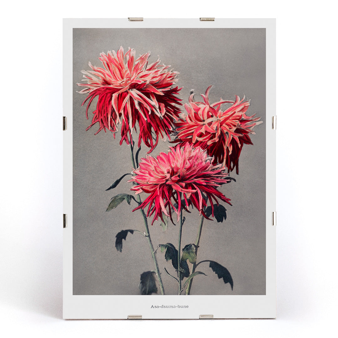 , framed and displayed in modern living room decor