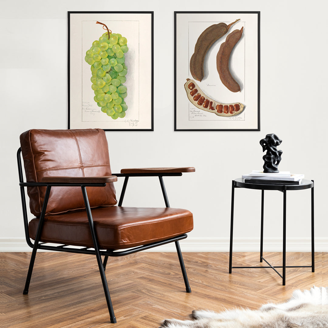 Vintage green grape cluster illustration by Amanda Almira Newton detailed botanical art poster on light background, framed and displayed in home decor