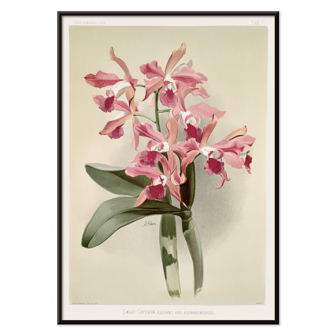 , with black aluminium frame on white background