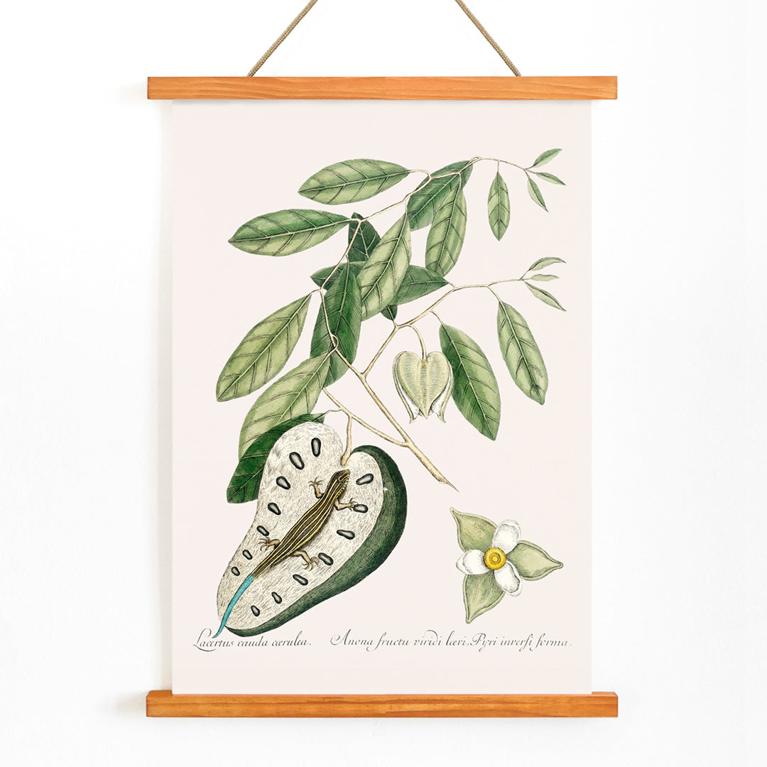 , with wooden magnetic frame on white background