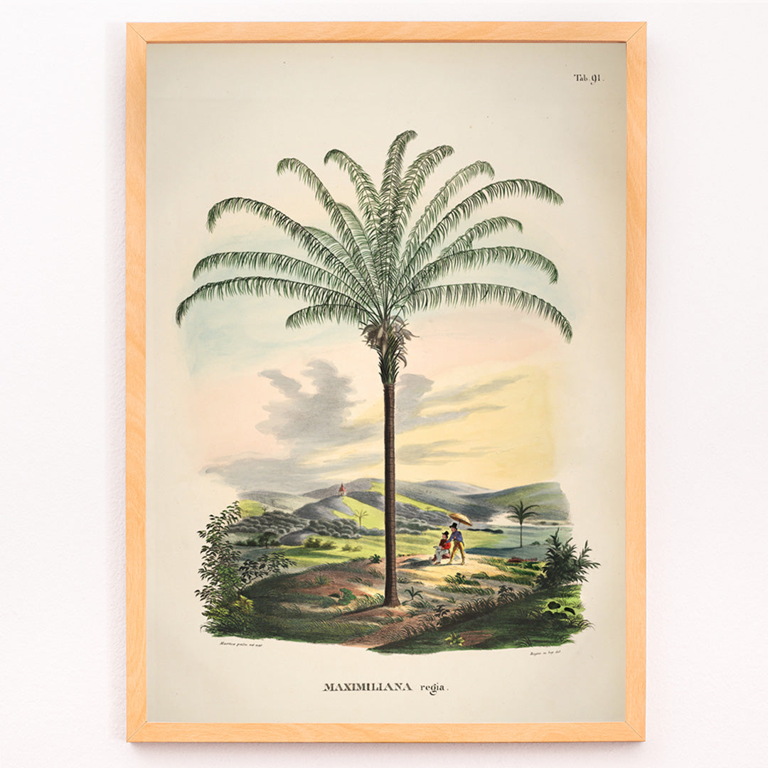 Closeup detail of Maximiliana regia palm tree landscape illustration and poster from Historia Naturalis Palmarum by Carl Friedrich Philipp von Martius
