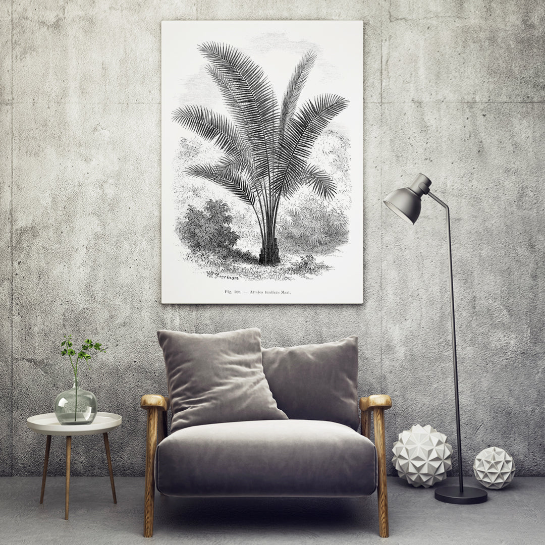 , framed and displayed in home decor