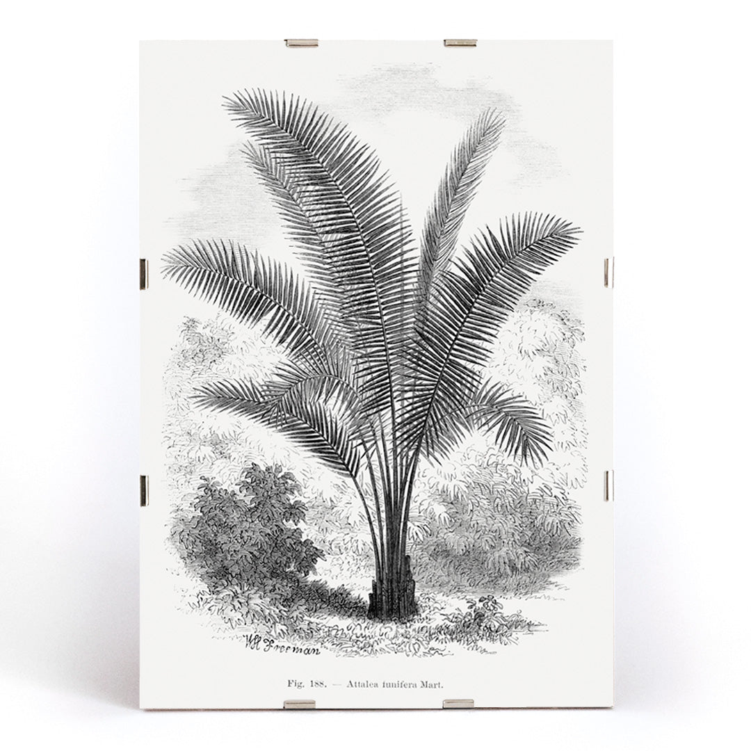 , framed and displayed in modern living room decor