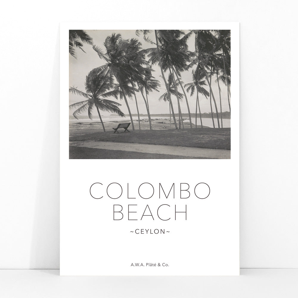 Colombo Beach Ceylon poster with palm trees and empty bench artwork by AWA Plate and Co ideal for wall decor and travel themes, framed and displayed in modern living room decor