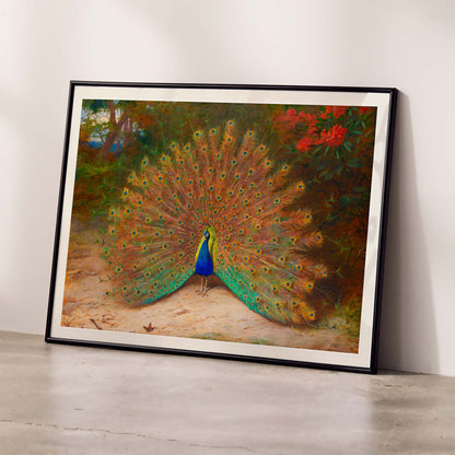 Colorful peacock with open feathers and butterfly in garden art poster vibrant tail feathers natural setting artwork Peacock And Peacock Butterfly by Archibald Thorburn, framed and displayed in modern living room decor