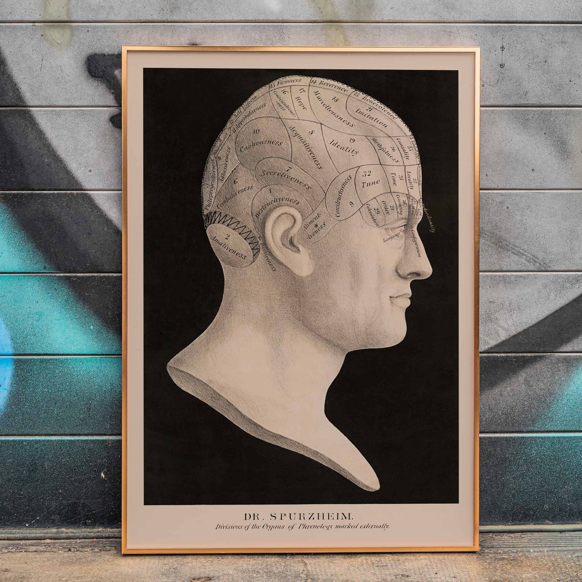 Dr. Spurzheim Divisions of the organs of phrenology poster labeled human head profile vintage black and white, framed and displayed in home decor