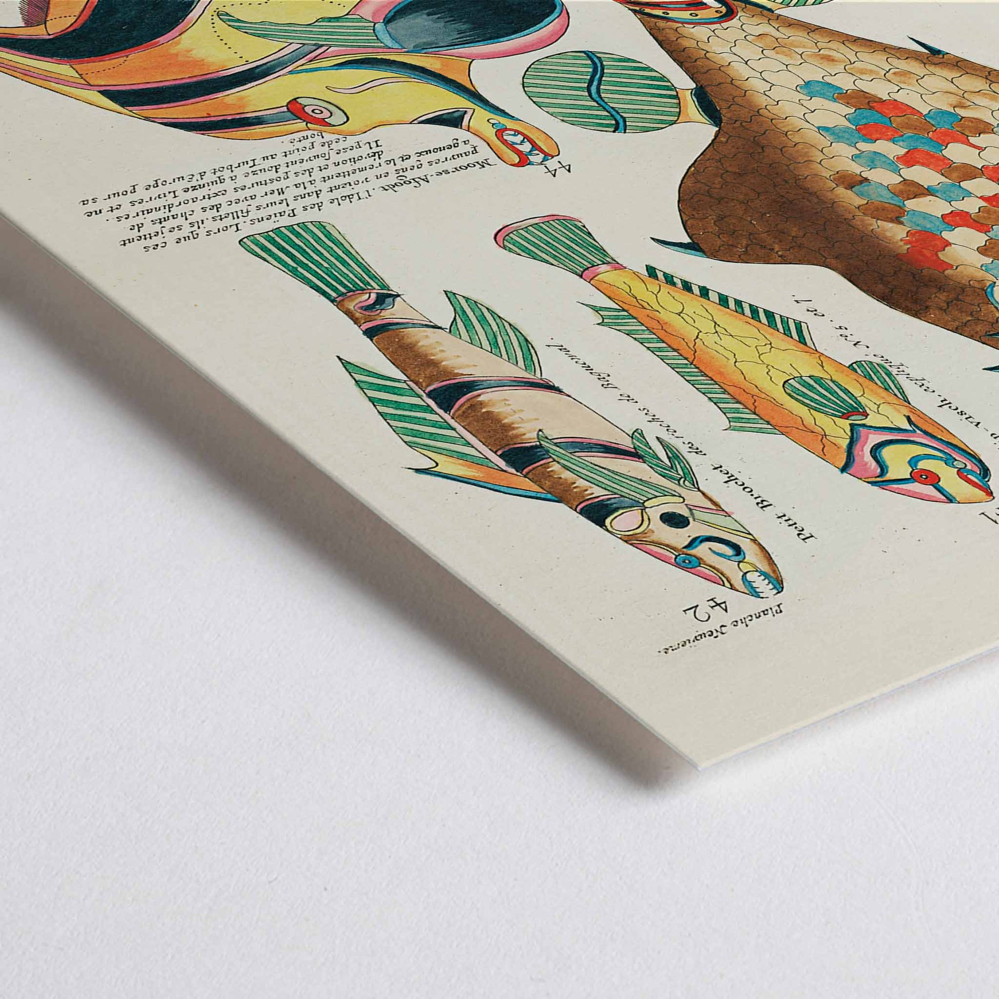 Closeup detail of Colourful surreal fish illustrations by Louis Renard from Histoire naturelle des plus rares curiositez de la mer des Indes poster