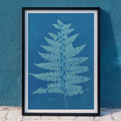 Fern Cianotipia botanical cyanotype artwork by Anna Atkins showing a detailed fern against a blue background poster, framed and displayed in home decor