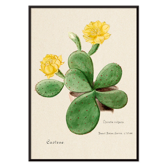 , with black aluminium frame on white background