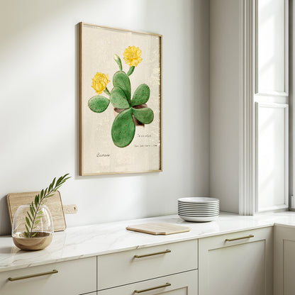 , framed and displayed in home decor