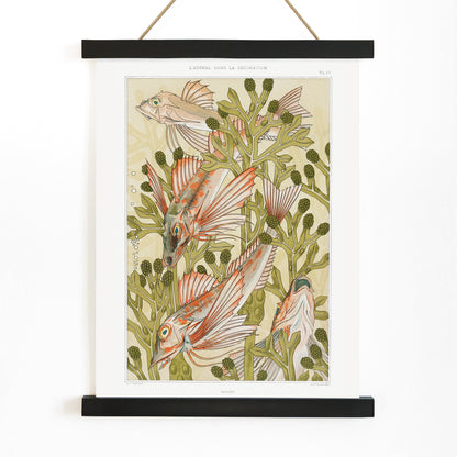 Poster of colorful red mullet fish swimming among green algae titled Red mullet and Algae by Maurice Pillard Verneuil, with wooden magnetic frame on white background