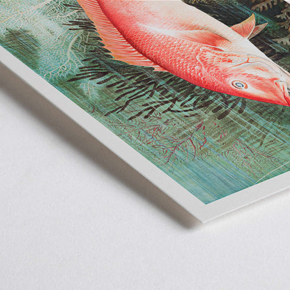 Closeup detail of Northern Red Snapper illustration by Samuel Kilbourne swimming among coral reef plants marine wall decor chromolithograph artwork