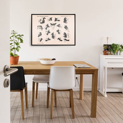 Vintage hand shadow puppet illustrations and animal shapes poster from Shadow Hands by George Lodewijk Funke artwork, framed and displayed in home decor
