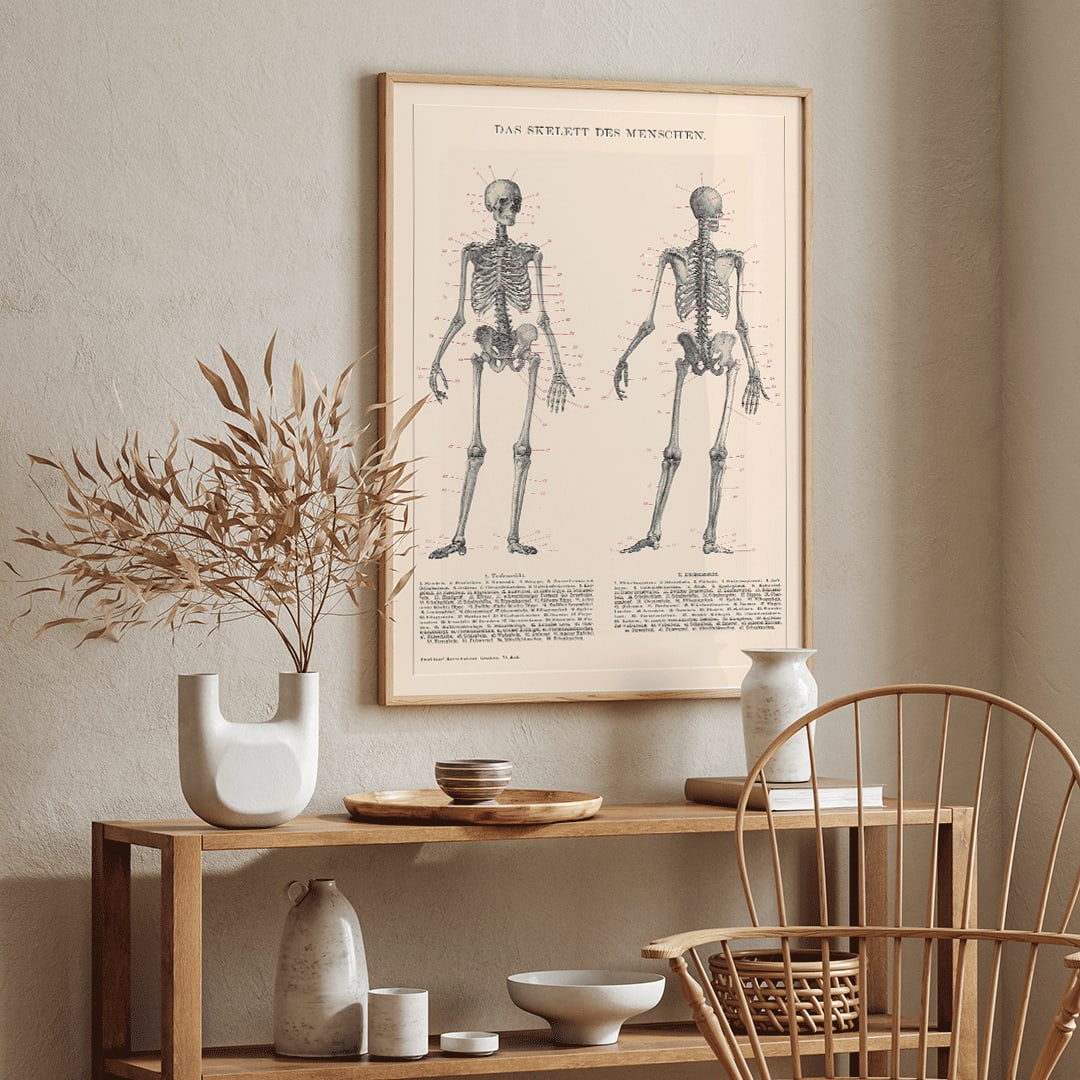 Detailed anatomical drawing and poster of human skeleton by Institute of Liepzig with labeled bones and scientific details, framed and displayed in home decor