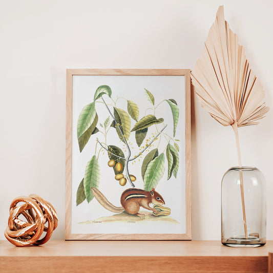 , framed and displayed in home decor