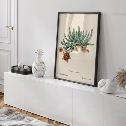 Closeup detail of Botanical illustration and poster of Starfish cactus from Familie Der Cacteen featuring a green cactus with a detailed star shaped flower