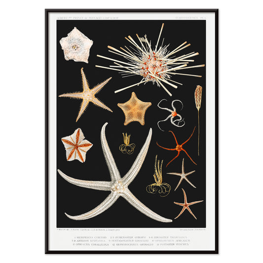 , with black aluminium frame on white background