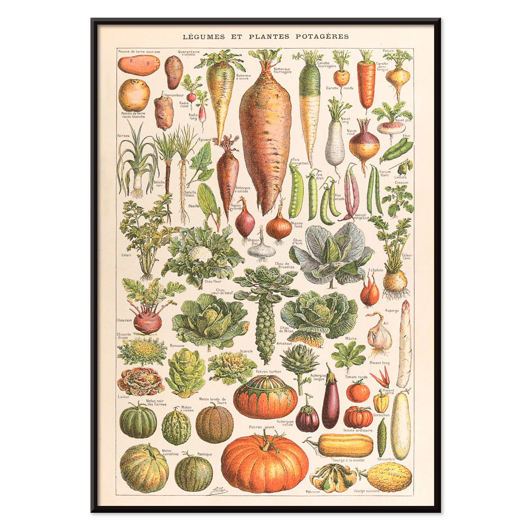 , with black aluminium frame on white background