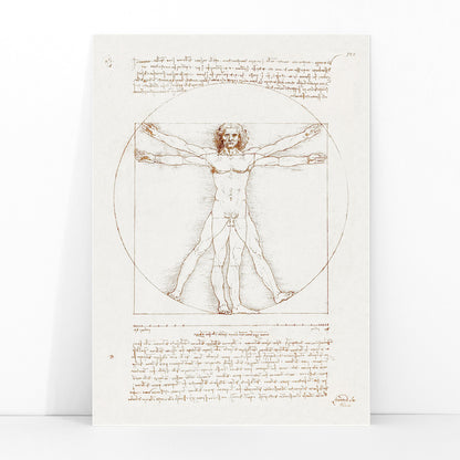 Vitruvian Man by Leonardo da Vinci human figure anatomical study with outstretched arms and legs inside circle and square geometric shapes artwork poster, framed and displayed in modern living room decor